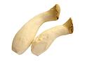 Click image for larger version

Name:	eringi-mushroom.jpg
Views:	20
Size:	7.3 Кб
ID:	175467
