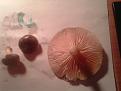 Click image for larger version

Name:	IMG_20131116_223211.jpg
Views:	24
Size:	52.1 Кб
ID:	175482