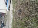 Click image for larger version

Name:	20131207_114217.jpg
Views:	26
Size:	216.6 Кб
ID:	175539