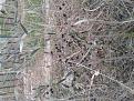 Click image for larger version

Name:	20131207_140545.jpg
Views:	17
Size:	223.5 Кб
ID:	175542