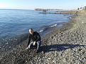 Click image for larger version

Name:	20131217_152127.jpg
Views:	15
Size:	200.8 Кб
ID:	175657