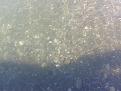 Click image for larger version

Name:	20131217_153352.jpg
Views:	10
Size:	86.2 Кб
ID:	175659