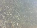 Click image for larger version

Name:	20131217_153400.jpg
Views:	10
Size:	81.8 Кб
ID:	175662