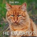 Click image for larger version

Name:	jazrf0LeiXk.jpg
Views:	18
Size:	80.3 Кб
ID:	175673