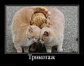 Click image for larger version

Name:	cb321ade4143.jpg
Views:	29
Size:	48.4 Кб
ID:	175677