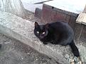 Click image for larger version

Name:	20131221_112108.jpg
Views:	8
Size:	113.7 Кб
ID:	175725