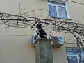 Click image for larger version

Name:	20131223_122630.jpg
Views:	16
Size:	119.1 Кб
ID:	175770
