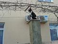 Click image for larger version

Name:	20131223_122620.jpg
Views:	16
Size:	117.6 Кб
ID:	175771