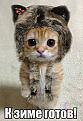 Click image for larger version

Name:	IMG-20131222-WA0029.jpg
Views:	11
Size:	45.7 Кб
ID:	175812