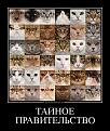 Click image for larger version

Name:	2212120754546516.jpg
Views:	33
Size:	169.9 Кб
ID:	175829