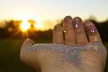 Click image for larger version

Name:	361884ccbb41.jpg
Views:	11
Size:	46.2 Кб
ID:	175830
