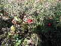 Click image for larger version

Name:	20140125_140922.jpg
Views:	20
Size:	232.8 Кб
ID:	175883