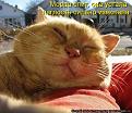Click image for larger version

Name:	948655.jpg
Views:	19
Size:	77.1 Кб
ID:	175911