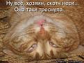 Click image for larger version

Name:	949428.jpg
Views:	18
Size:	65.5 Кб
ID:	175912