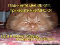 Click image for larger version

Name:	78623737_934037.jpg
Views:	18
Size:	54.7 Кб
ID:	175918