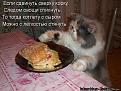 Click image for larger version

Name:	78623809_78623768_998890.jpg
Views:	18
Size:	51.1 Кб
ID:	175919