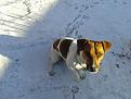 Click image for larger version

Name:	20140329_090825.jpg
Views:	9
Size:	109.0 Кб
ID:	175943