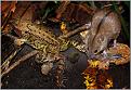 Click image for larger version

Name:	23932_original.jpg
Views:	23
Size:	161.7 Кб
ID:	175961