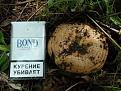 Click image for larger version

Name:	DSC01465_новый размер.JPG
Views:	44
Size:	76.7 Кб
ID:	175993