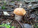 Click image for larger version

Name:	2014-09-02 12.21.29.jpg
Views:	1
Size:	148.7 Кб
ID:	176026