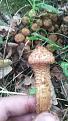 Click image for larger version

Name:	IMG_20140919_150127.jpg
Views:	9
Size:	57.4 Кб
ID:	176043
