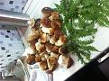 Click image for larger version

Name:	IMG_3646.jpg
Views:	38
Size:	126.8 Кб
ID:	176190