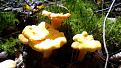 Click image for larger version

Name:	IMG_20150815_120359.jpg
Views:	4
Size:	100.9 Кб
ID:	176216