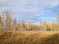 Click image for larger version

Name:	IMG_1441.jpg
Views:	22
Size:	128.7 Кб
ID:	176249