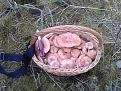 Click image for larger version

Name:	IMG-20151010-WA0006.jpg
Views:	45
Size:	195.7 Кб
ID:	176267
