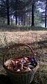 Click image for larger version

Name:	IMG-20151010-WA0007.jpg
Views:	38
Size:	95.9 Кб
ID:	176268