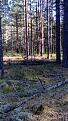 Click image for larger version

Name:	IMG_20151014_135431.jpg
Views:	37
Size:	100.6 Кб
ID:	176274