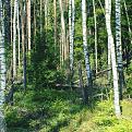 Click image for larger version

Name:	IMG_2482.jpg
Views:	25
Size:	202.6 Кб
ID:	176325