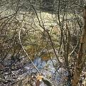 Click image for larger version

Name:	IMG_2478.jpg
Views:	28
Size:	229.8 Кб
ID:	176326