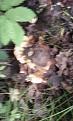 Click image for larger version

Name:	IMG_20160605_131342.jpg
Views:	22
Size:	47.5 Кб
ID:	176426