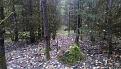 Click image for larger version

Name:	IMAG2213.jpg
Views:	34
Size:	159.3 Кб
ID:	176764
