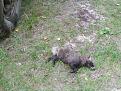 Click image for larger version

Name:	IMG_1042.jpg
Views:	65
Size:	248.1 Кб
ID:	176799