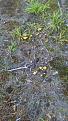 Click image for larger version

Name:	IMG-20170715-WA0005.jpg
Views:	27
Size:	121.1 Кб
ID:	176962