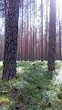 Click image for larger version

Name:	IMG_20170812_145950.jpg
Views:	22
Size:	99.0 Кб
ID:	177003