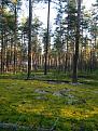 Click image for larger version

Name:	IMG_20170815_064106.jpg
Views:	12
Size:	124.5 Кб
ID:	177016