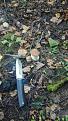 Click image for larger version

Name:	IMG-20170908-WA0025.jpg
Views:	17
Size:	86.7 Кб
ID:	177134