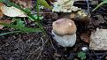 Click image for larger version

Name:	20170912_120414.jpg
Views:	27
Size:	105.2 Кб
ID:	177155