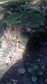 Click image for larger version

Name:	IMG-20170925-WA0002.jpg
Views:	23
Size:	67.5 Кб
ID:	177230