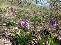 Click image for larger version

Name:	DSC07094.jpg
Views:	22
Size:	219.2 Кб
ID:	177409