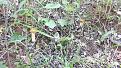 Click image for larger version

Name:	4317.jpg
Views:	16
Size:	175.6 Кб
ID:	177429