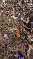 Click image for larger version

Name:	20190421_114834.jpg
Views:	18
Size:	181.2 Кб
ID:	177640