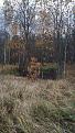 Click image for larger version

Name:	IMG-20191012-WA0001.jpg
Views:	12
Size:	111.6 Кб
ID:	178028