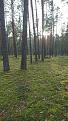 Click image for larger version

Name:	DSC_0453.jpg
Views:	25
Size:	94.5 Кб
ID:	178058