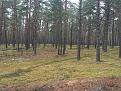 Click image for larger version

Name:	IMG_4152_новый размер.jpg
Views:	29
Size:	177.0 Кб
ID:	178079
