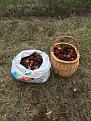Click image for larger version

Name:	IMG_7184_.jpg
Views:	30
Size:	138.3 Кб
ID:	178105