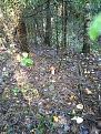 Click image for larger version

Name:	IMG_240720_175433.jpg
Views:	9
Size:	183.8 Кб
ID:	178205